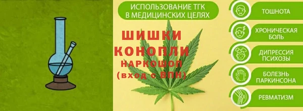 PSILOCYBIN Абдулино