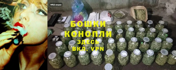 PSILOCYBIN Абдулино