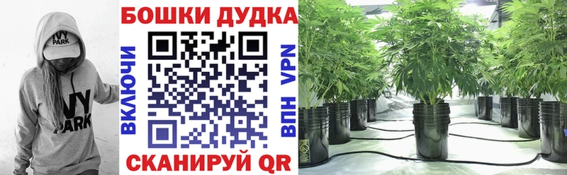 купить  сайты  omg зеркало  МАРИХУАНА индика  Новое Девяткино 